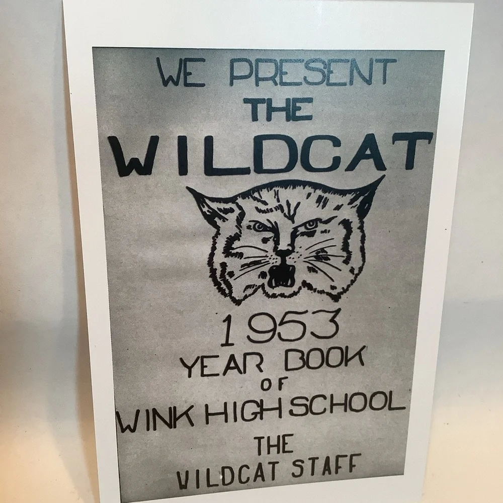 Roy Orbison WINK High School Illustration Series FULLSET Postcard Gift Set 6 NEW